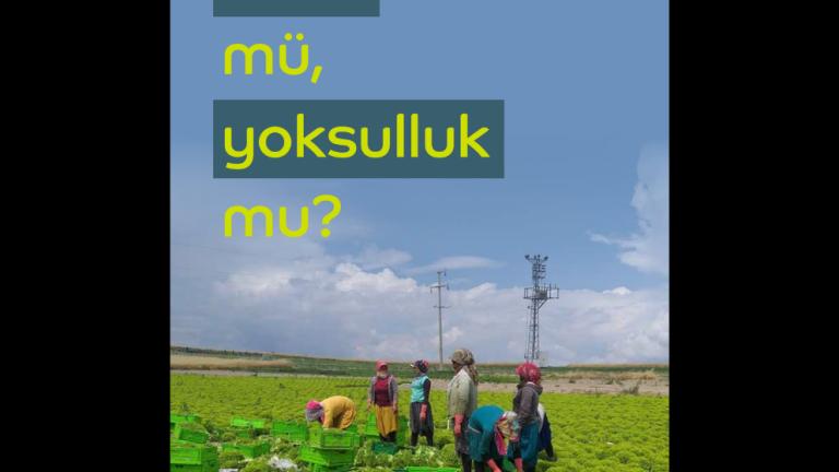 Kalkınma Atölyesi Salgının Mevsimlik Tarım İşçilerine ve Bitkisel Üretime Etkisi Raporu