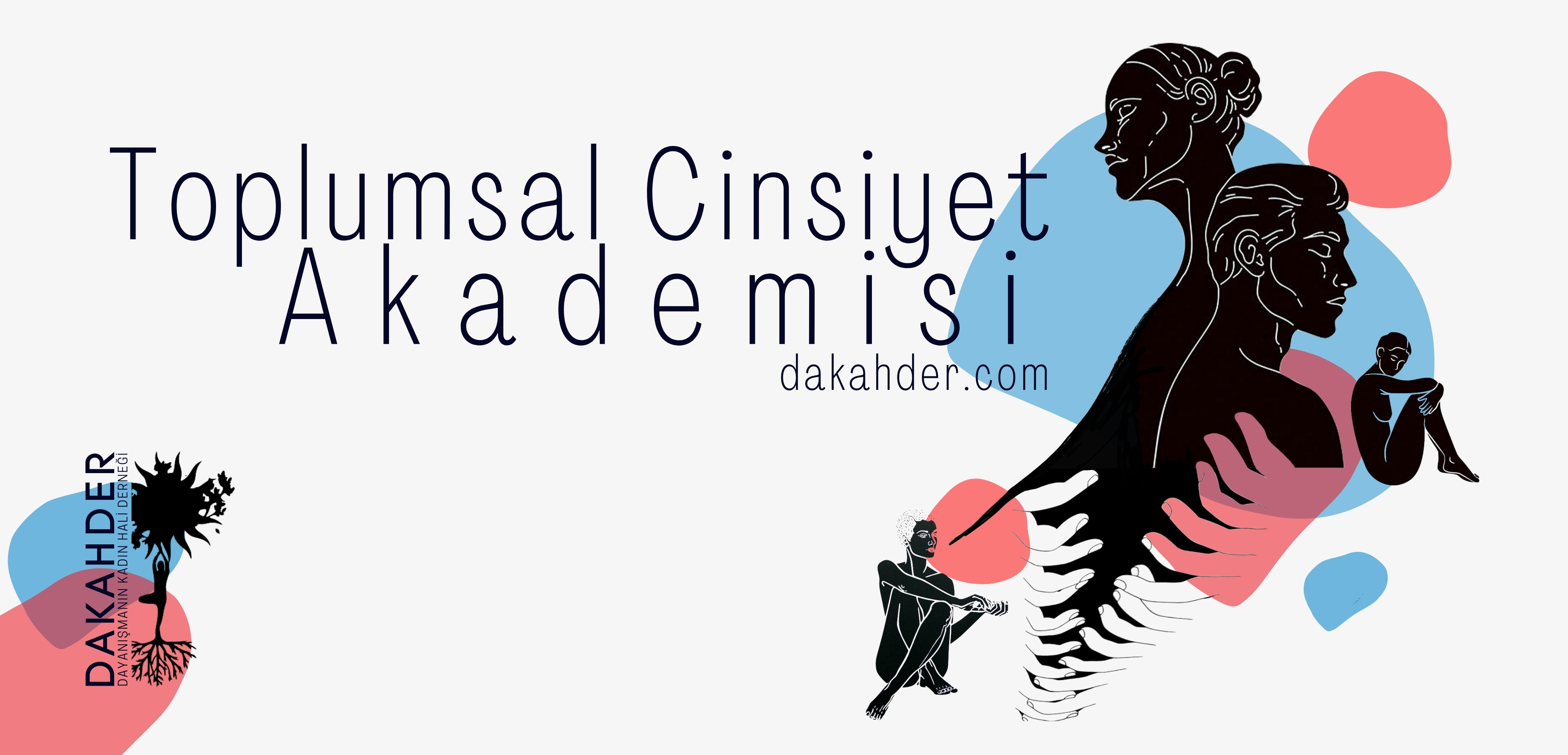Toplumsal cinsiyet akademisi