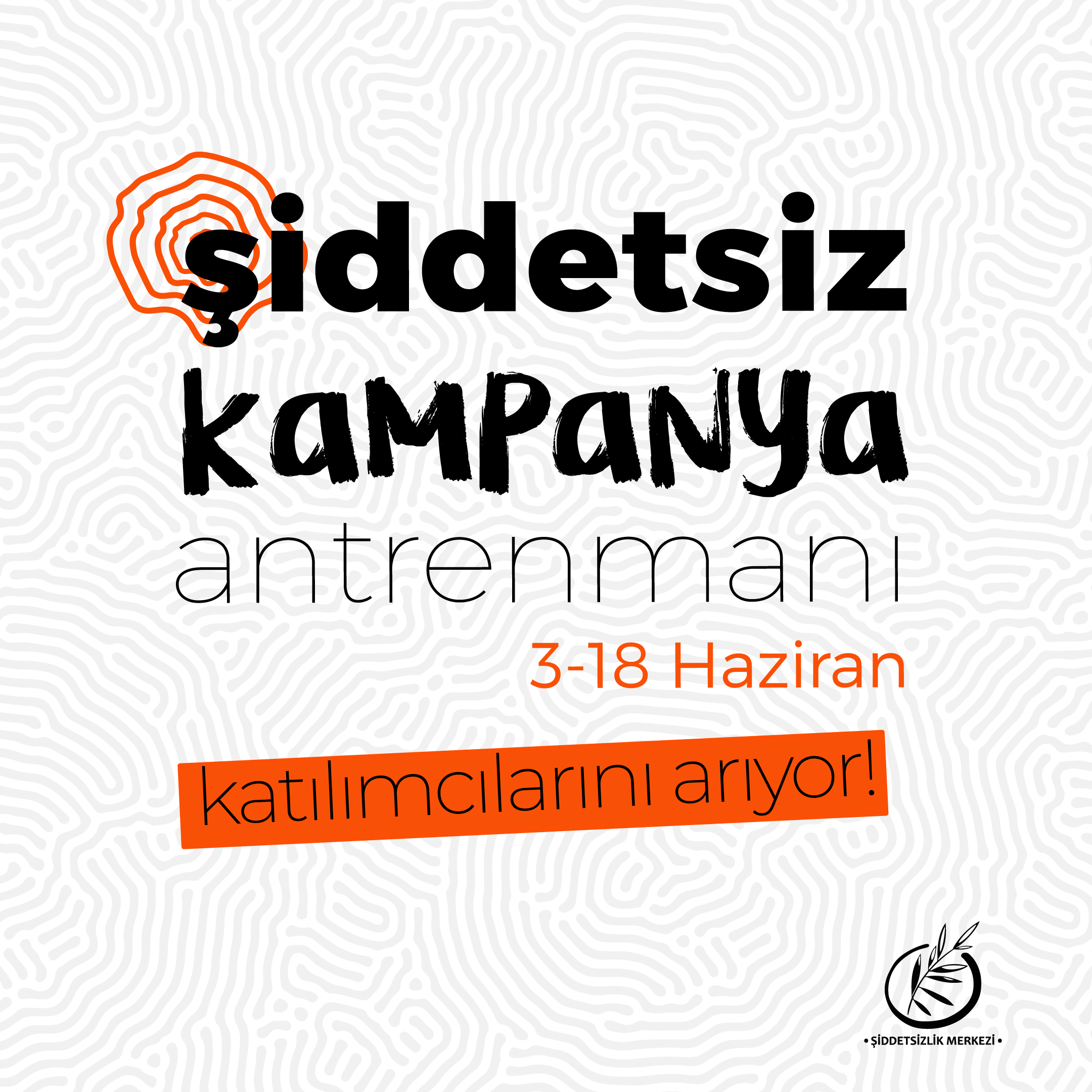 şiddetsiz kampanya