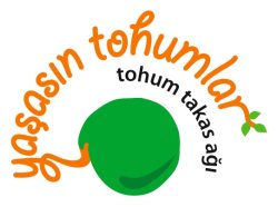 tohum