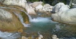 haber fotoğraf