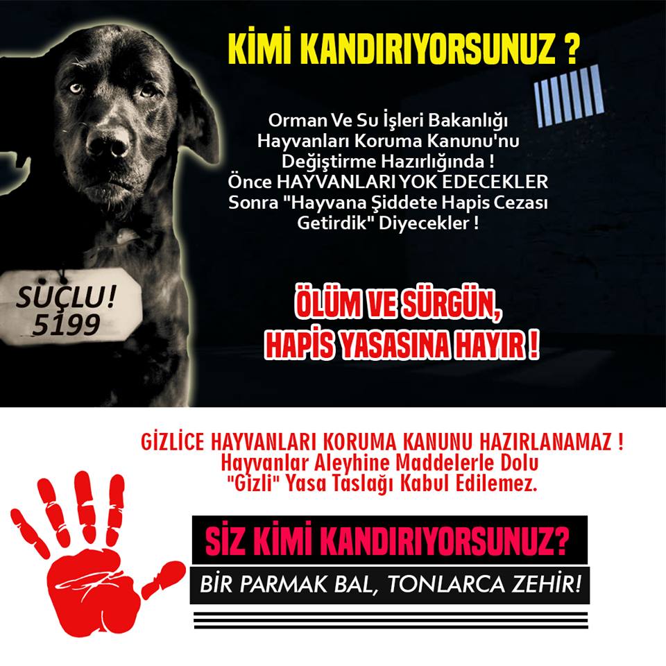Haber fotoğrafı