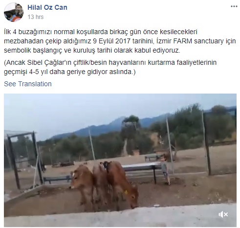 Haber fotoğrafı