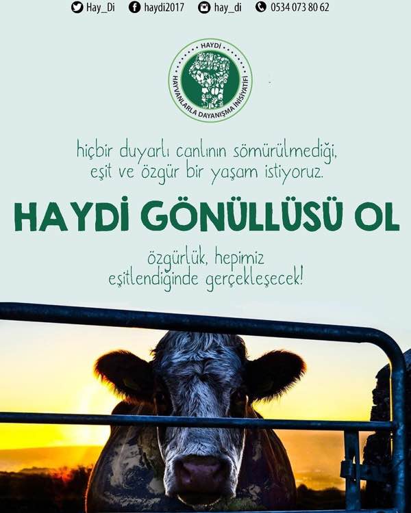 haber fotoğrafı