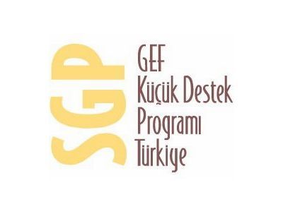 gef sgp