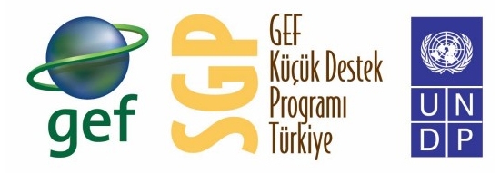 gef sgp logo