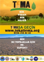 İçerik Alınlık Resmi