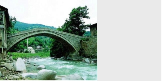 İçerik Alınlık Resmi