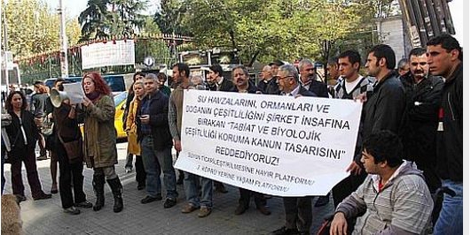 İçerik Alınlık Resmi