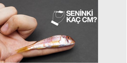 İçerik Alınlık Resmi