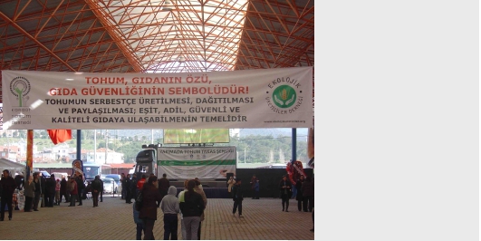 İçerik Alınlık Resmi