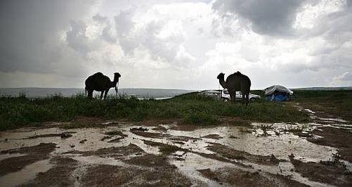 İçerik Alınlık Resmi
