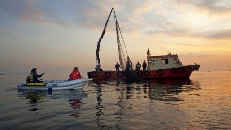 İçerik Alınlık Resmi