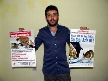 İçerik Alınlık Resmi