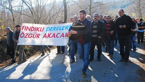 findikli