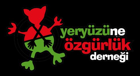 İçerik Alınlık Resmi