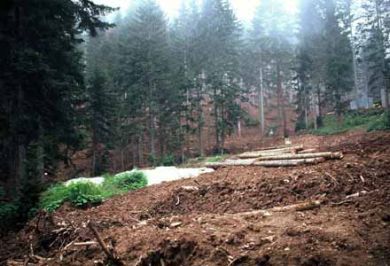İçerik Alınlık Resmi