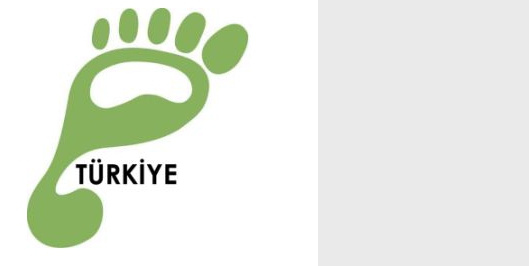 İçerik Alınlık Resmi