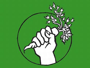 İçerik Alınlık Resmi
