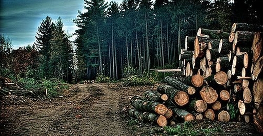 İçerik Alınlık Resmi