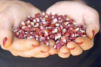 İçerik Alınlık Resmi