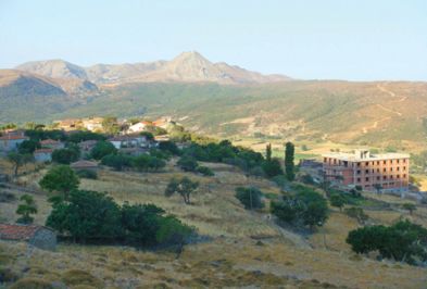 İçerik Alınlık Resmi