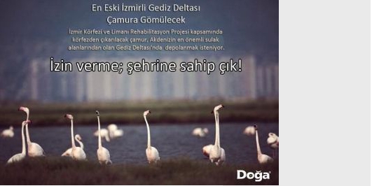 İçerik Alınlık Resmi