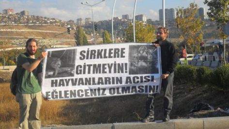 ankara sirki