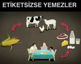 İçerik Alınlık Resmi