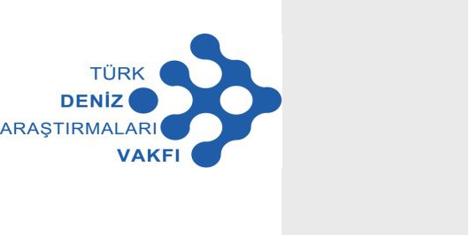 İçerik Alınlık Resmi