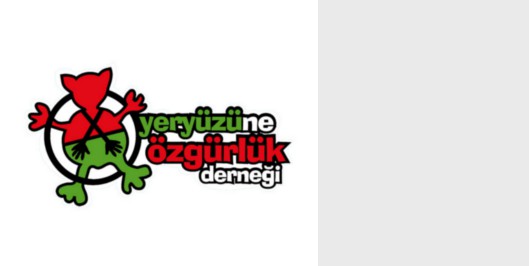 İçerik Alınlık Resmi