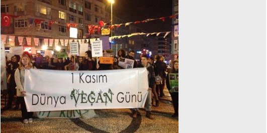 İçerik Alınlık Resmi