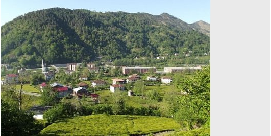 İçerik Alınlık Resmi