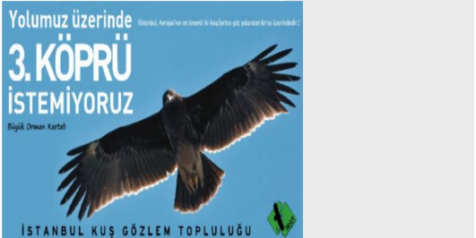 İçerik Alınlık Resmi