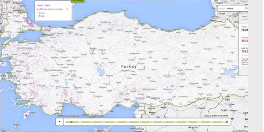 İçerik Alınlık Resmi