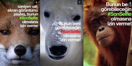 İçerik Alınlık Resmi