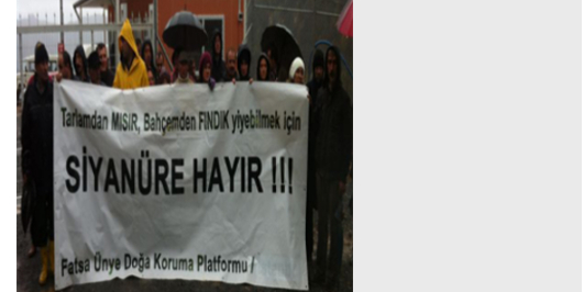 İçerik Alınlık Resmi