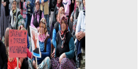 İçerik Alınlık Resmi