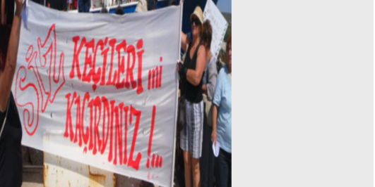 İçerik Alınlık Resmi