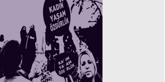 İçerik Alınlık Resmi
