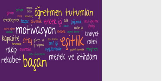 İçerik Alınlık Resmi