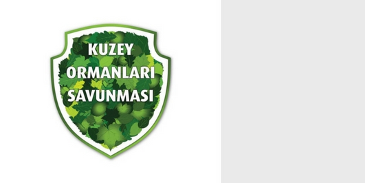 İçerik Alınlık Resmi