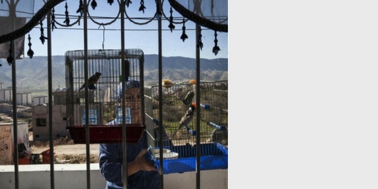 İçerik Alınlık Resmi