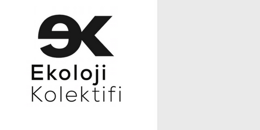 İçerik Alınlık Resmi