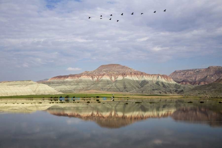 Haber fotoğrafı