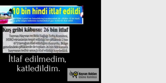 İçerik Alınlık Resmi