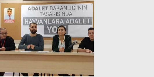 İçerik Alınlık Resmi
