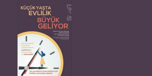 İçerik Alınlık Resmi