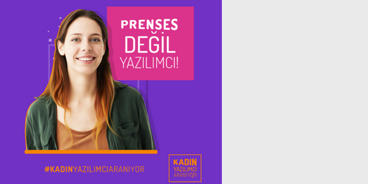 İçerik Alınlık Resmi