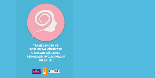İçerik Alınlık Resmi